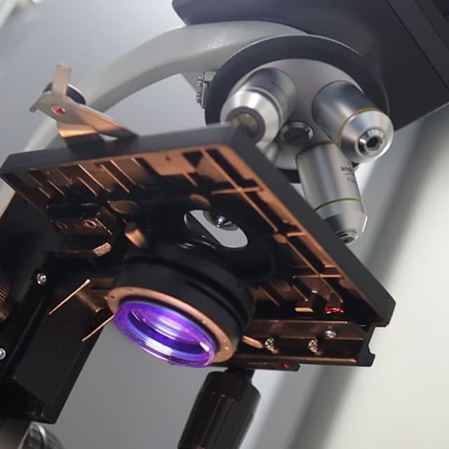 Patient consultation